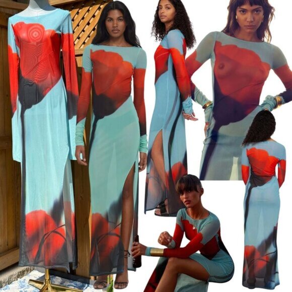 Rat & Boa Dresses & Skirts - 🆕 RAT & BOA 🧿 NWOT Santino Sheer Long Sleeve Dress, Blue with Red Tulip, Sz M